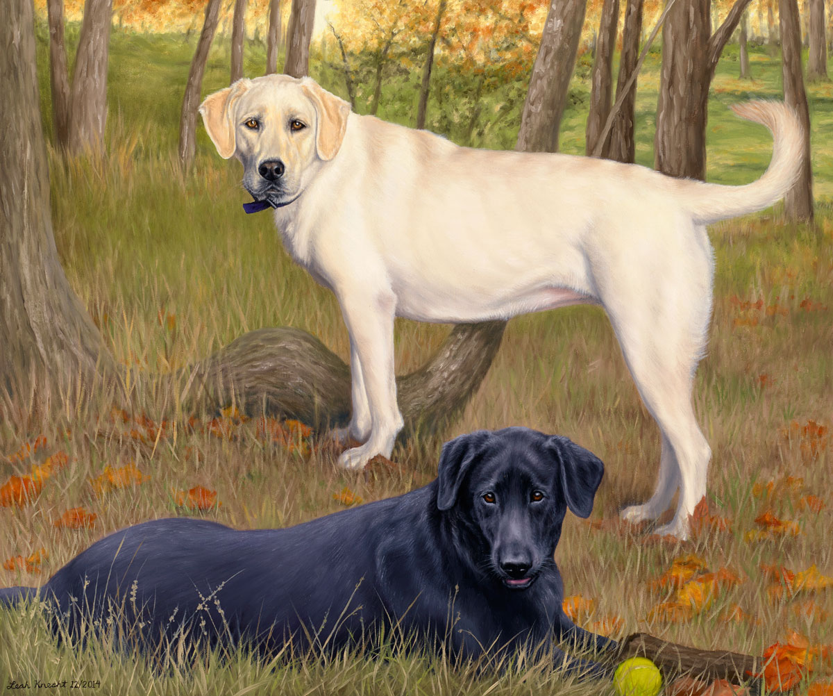 Ebony and Ivory, Labradors, 22x28 Oil on Canvas